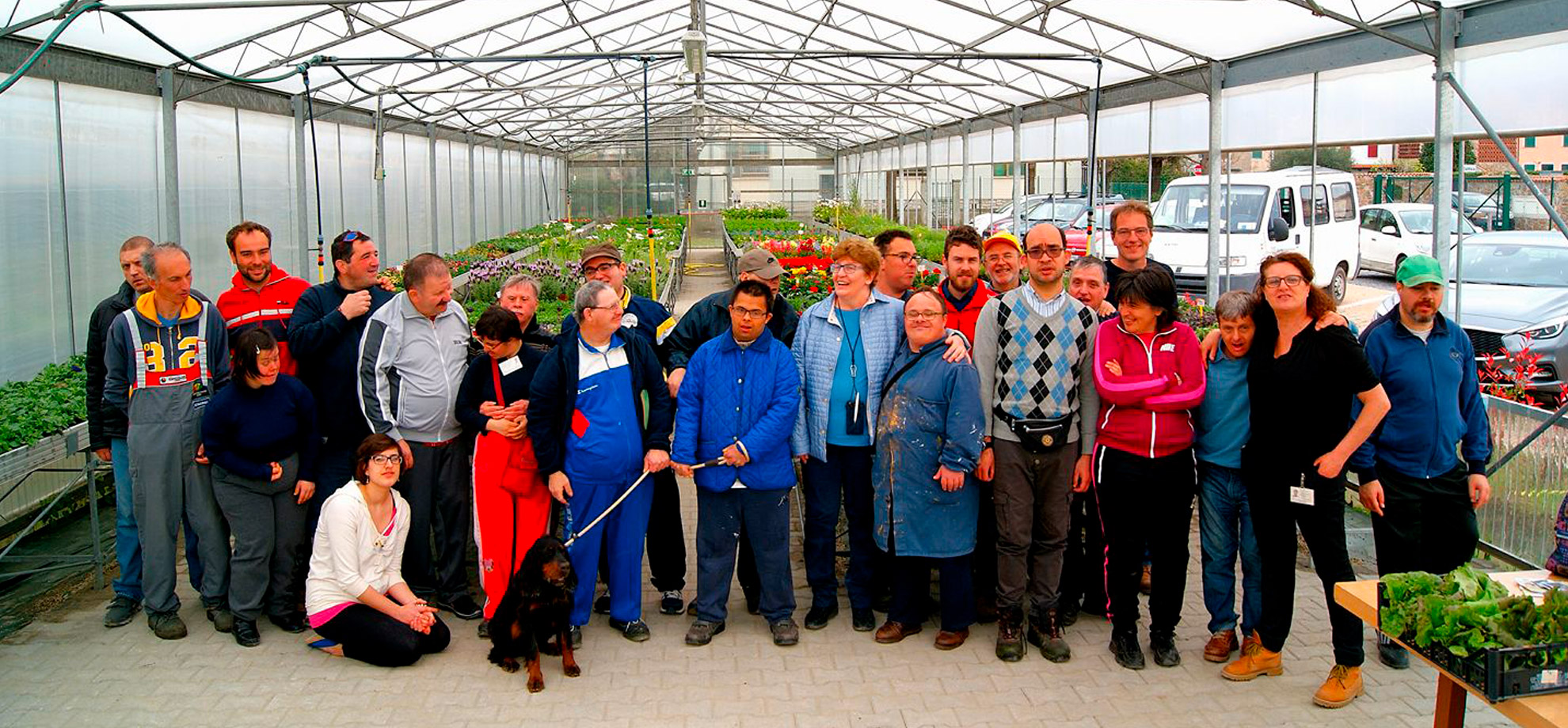 agricola-carraia-tmp